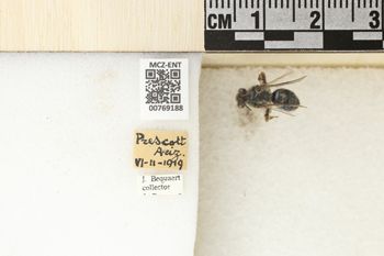 Media type: image;   Entomology 769188 Aspect: Labels
